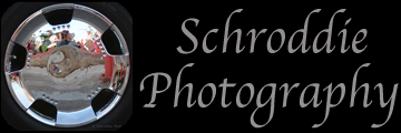 Schroddie Website Logo